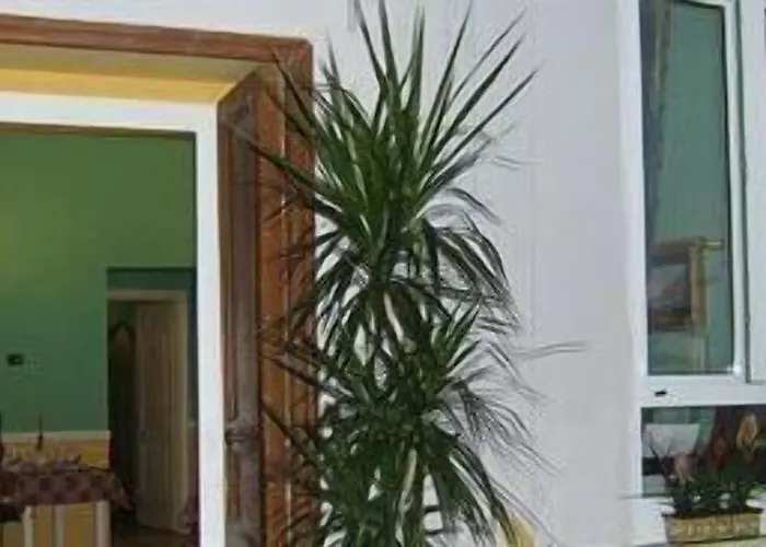 Delle Palme